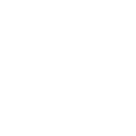 wordpress-light